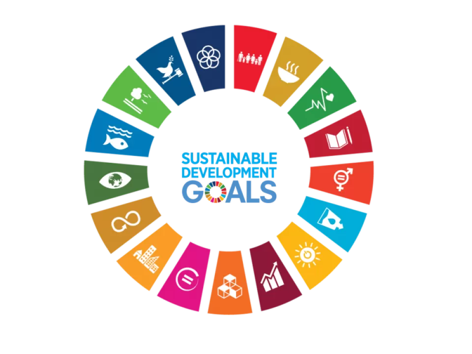 Sustainable development goals